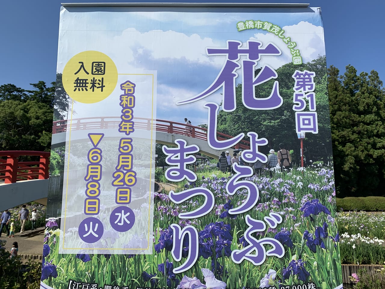 豊橋市 賀茂しょうぶ園では 只今花しょうぶが見頃を迎えています 号外net 豊橋市 田原市